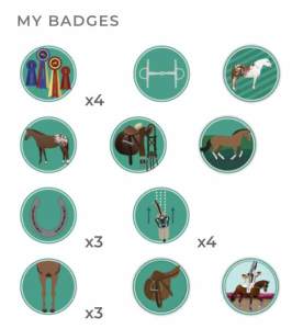 Badges 