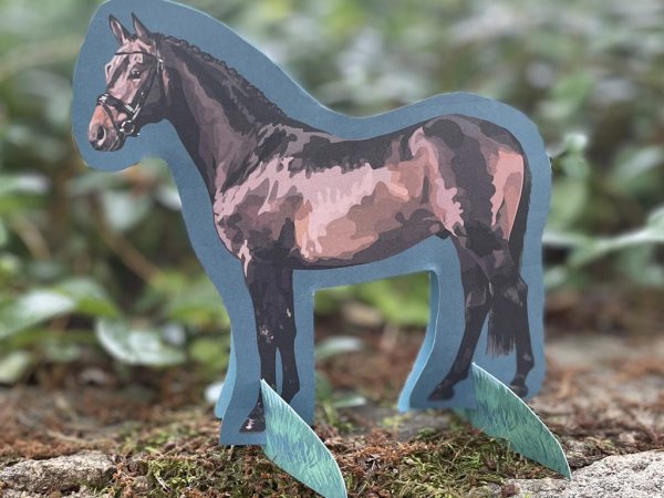 Horse Anatomy Craft - Image 2