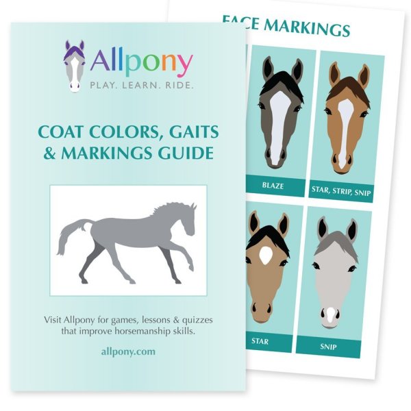 allpony booklet