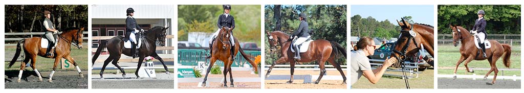 Eliza Sydnor Romm Dressage