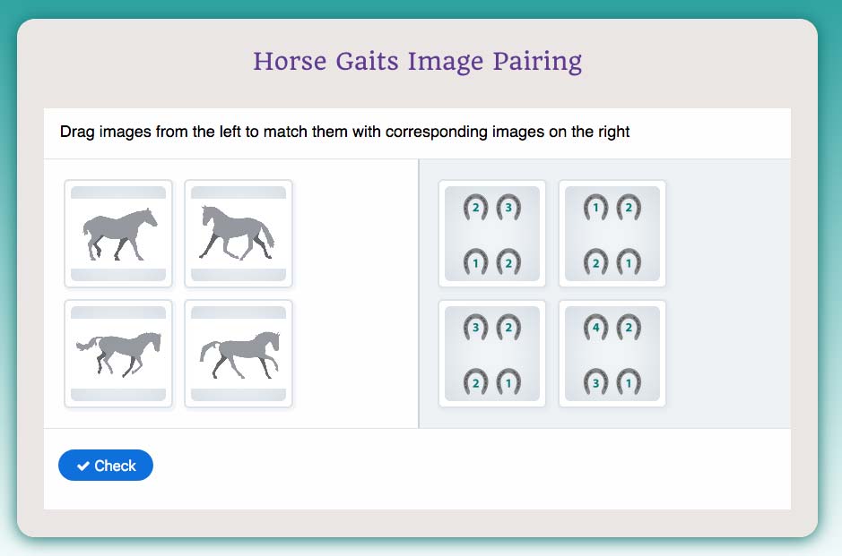 horse gaits game