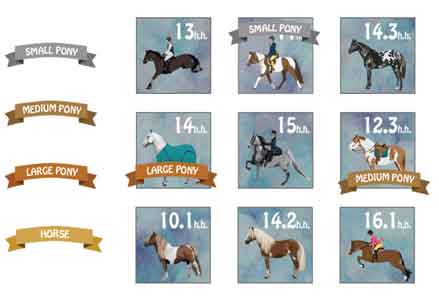 Horse Pony Heights Game