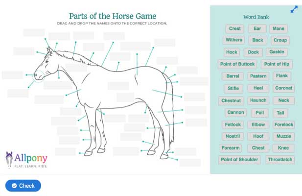 parts of horse game