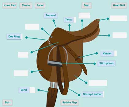 Parts of Saddle game