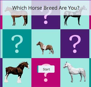 horse personality quiz