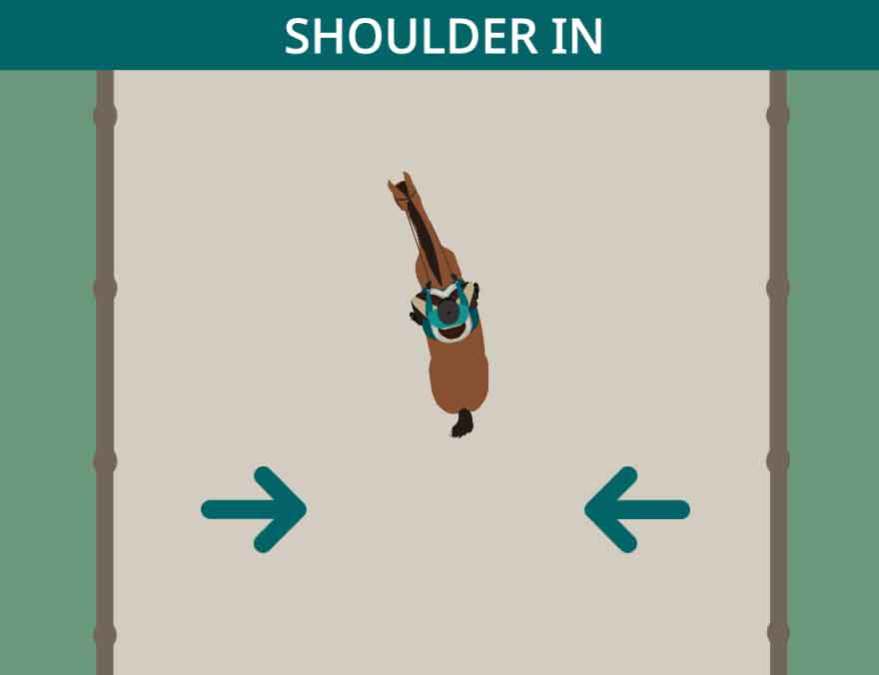 Shoulder-In Interactive Example