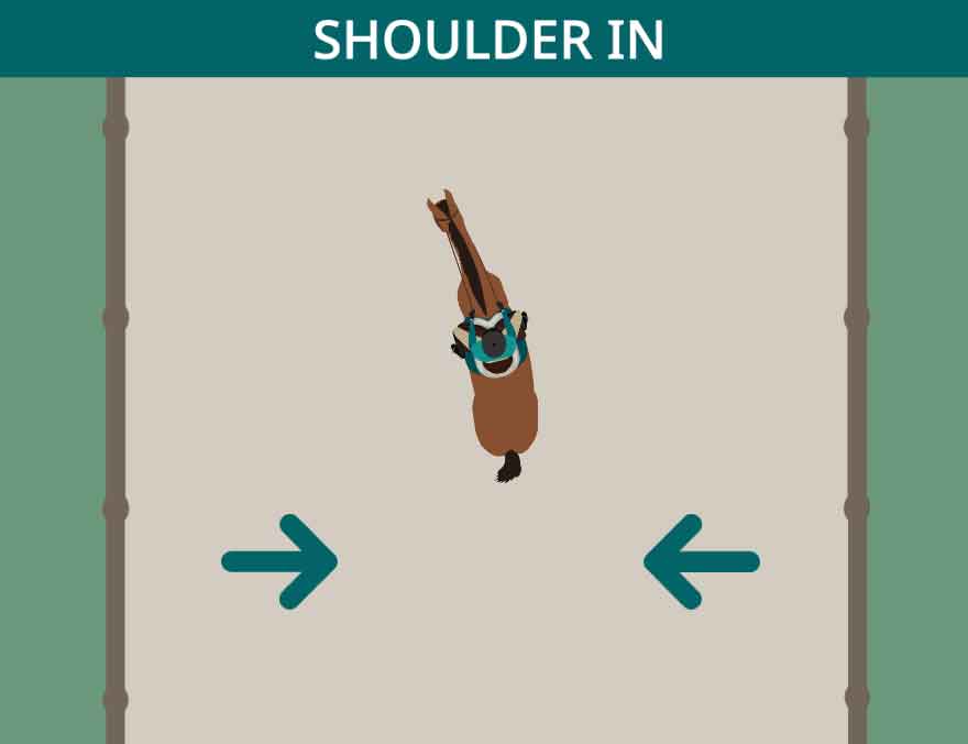 dressage Shoulder In Game