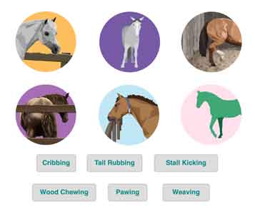 Horse Vices Game