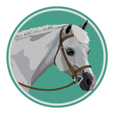 Bridle Icon