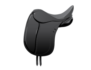 Dressage Saddle