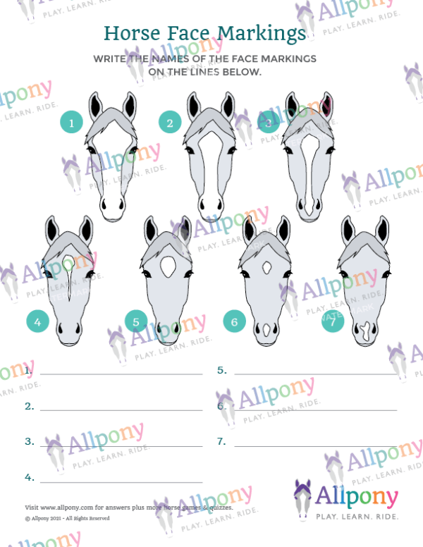 Horse Face Markings Worksheet