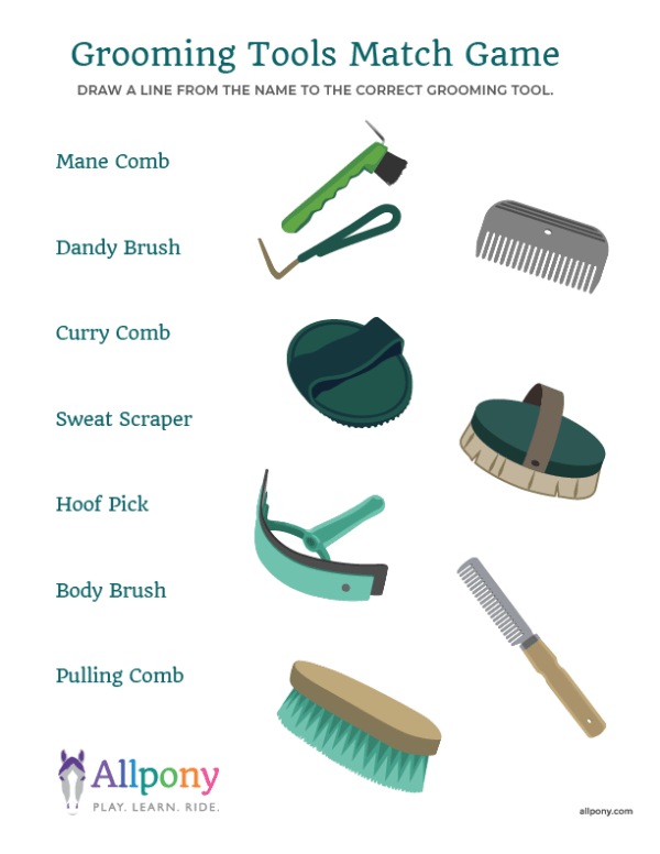 Grooming Tools Matching Game