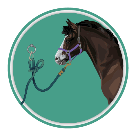 tying horses quick release icon