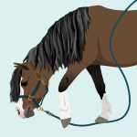 loose lead rope pony