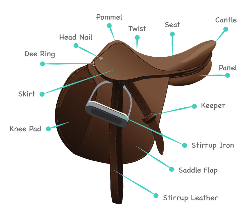 Parts of English Saddle labeled