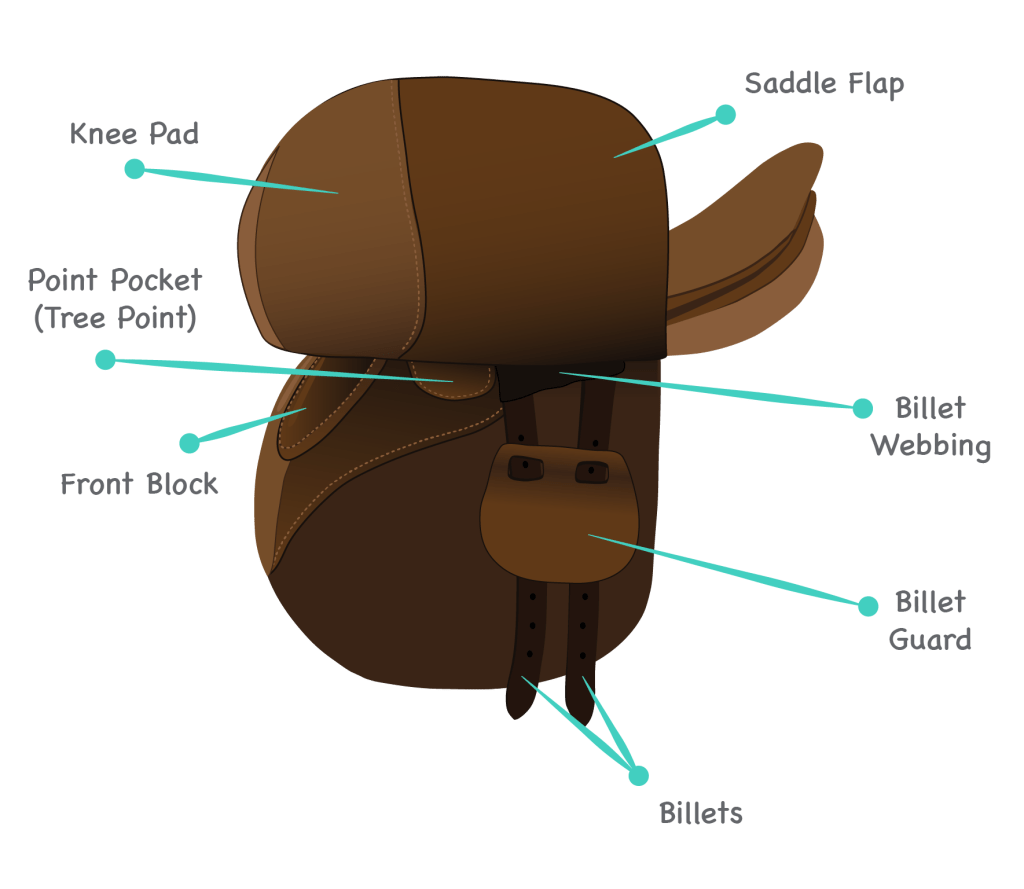 labels parts of english saddle under flap