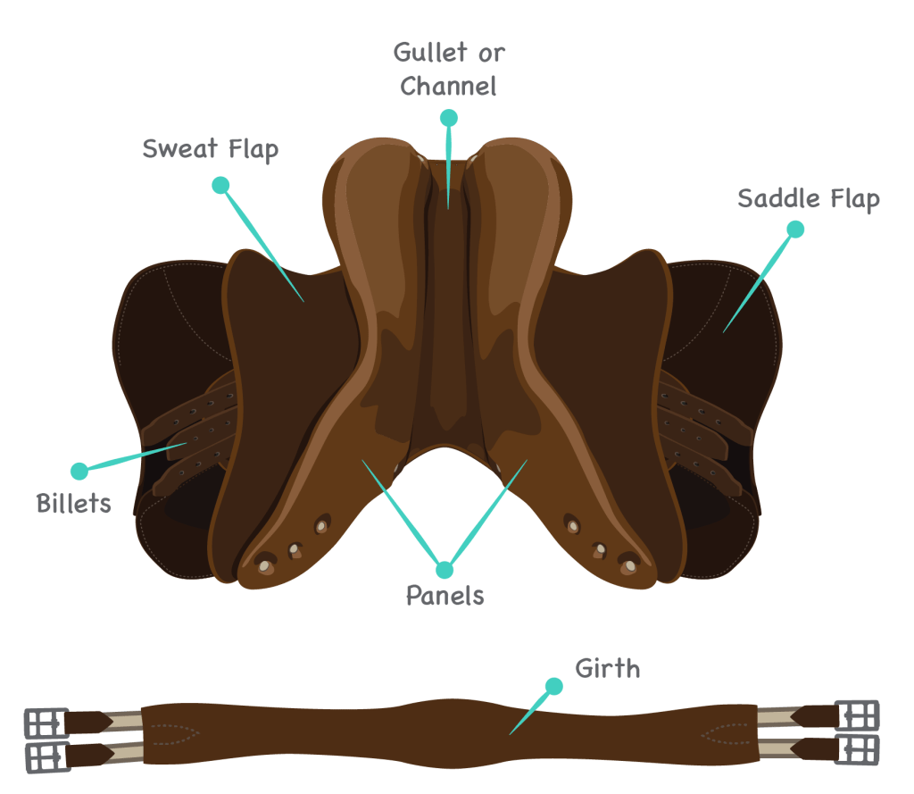 Parts Saddle Underside