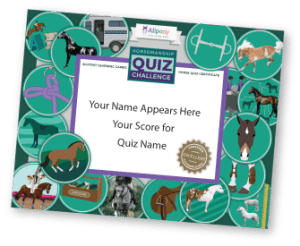 Quiz certificate