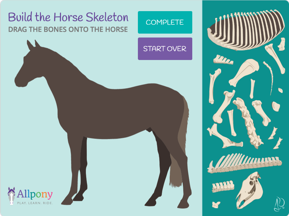 Horse Skeleton Game