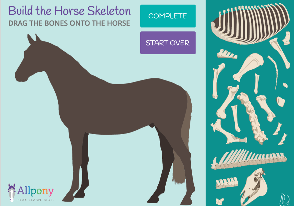 Horse Skeleton Game