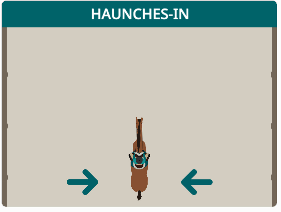 Haunches in interactive example