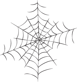 spider web